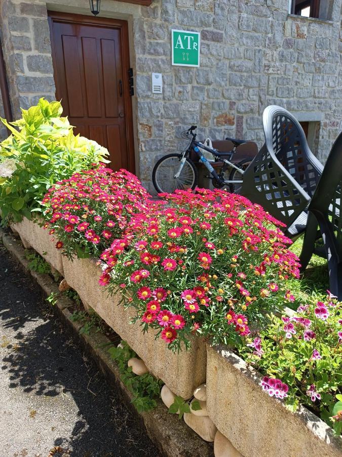Romantico Acogedor Apartamento En Llanes Eksteriør bilde