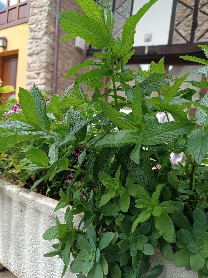 Romantico Acogedor Apartamento En Llanes Eksteriør bilde