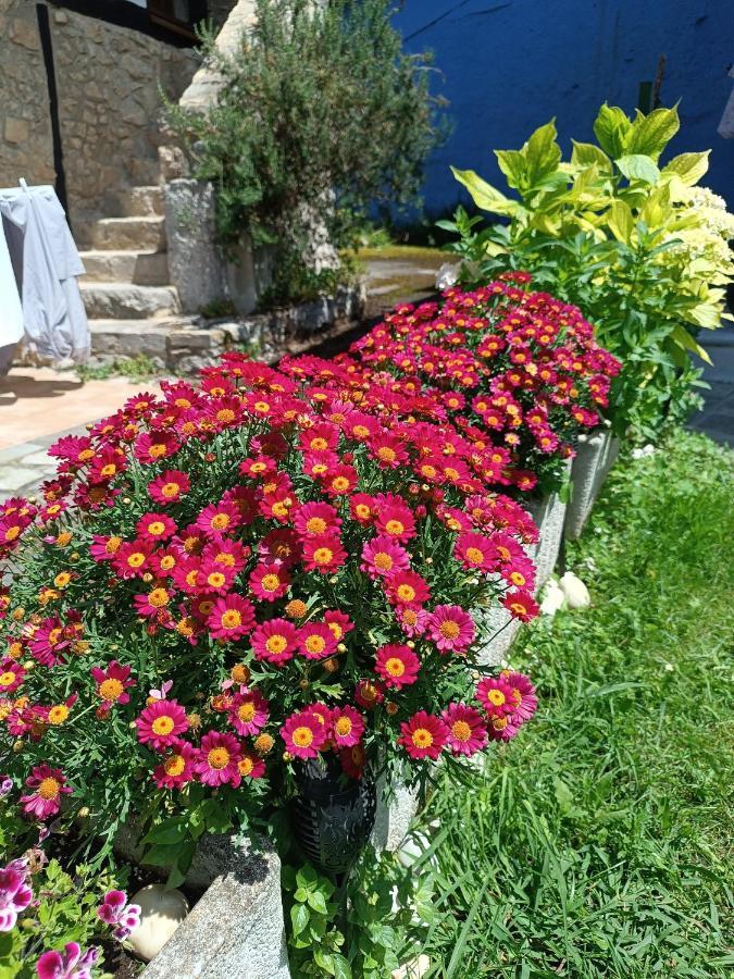 Romantico Acogedor Apartamento En Llanes Eksteriør bilde